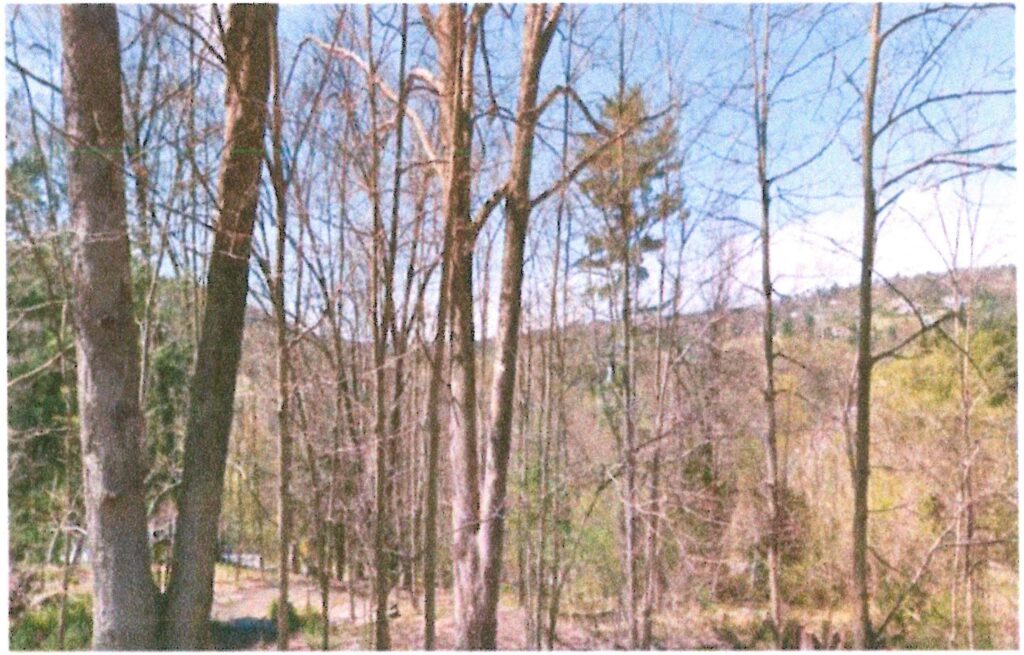 1.1 Acre Wooded Building Lot for Sale