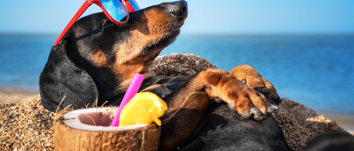 Stay Cool and Save: Easy Ways to Cut Your AC Costs
