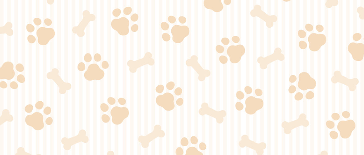 Help Us Support Local Animal Shelters!